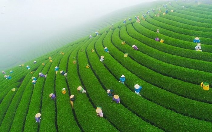 Món ngon từ Tôm Faifofoods
